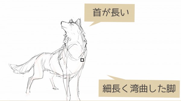 2つの描き分けでより多彩に描く 動物の描き方講座を見ながらコツをご紹介 イラスト制作 漫画制作の株式会社フーモア