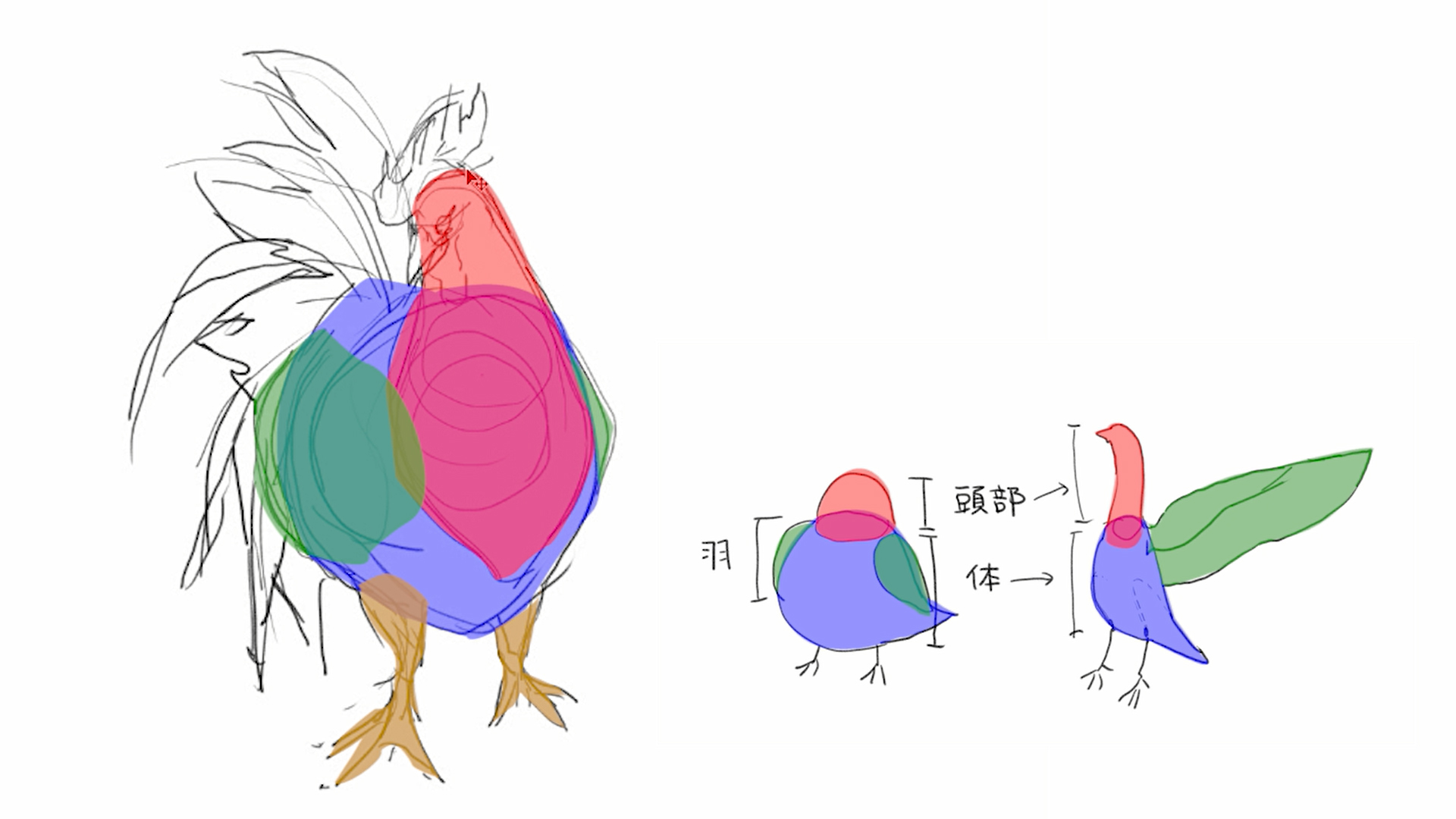 2つの描き分けでより多彩に描く 動物の描き方講座を見ながらコツをご紹介 イラスト制作 漫画制作の株式会社フーモア